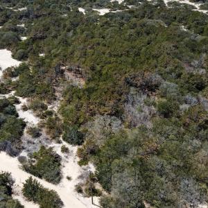 Photo #8 of 1602 Ocean Pearl Road, Corolla, NC 0.3 acres