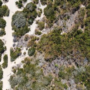 Photo #10 of 1602 Ocean Pearl Road, Corolla, NC 0.3 acres