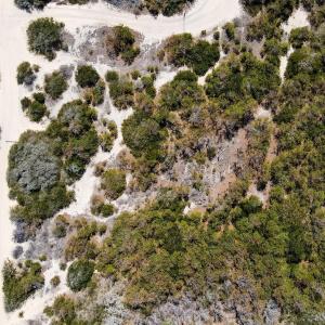 Photo #9 of 1602 Ocean Pearl Road, Corolla, NC 0.3 acres