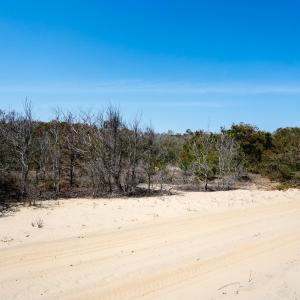Photo #5 of 1602 Ocean Pearl Road, Corolla, NC 0.3 acres