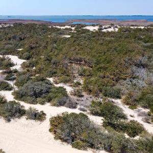 Photo #7 of 1602 Ocean Pearl Road, Corolla, NC 0.3 acres