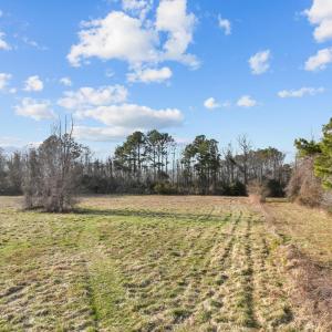 Photo #10 of 150 Hampton Road, Coinjock, NC 95.0 acres