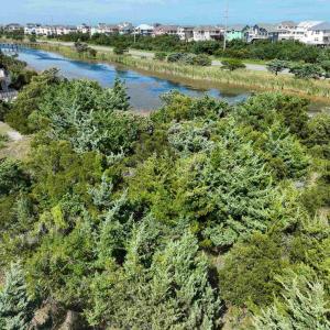 Photo #4 of 41136 Anchor Court, Avon, NC 0.3 acres