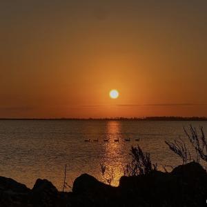 Photo #14 of Bayview Drive, Stumpy Point, NC 0.3 acres