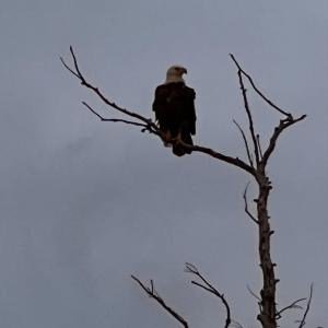 Photo #13 of Bayview Drive, Stumpy Point, NC 0.3 acres