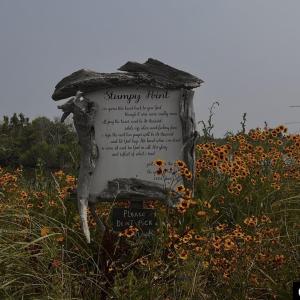 Photo #9 of Bayview Drive, Stumpy Point, NC 0.3 acres