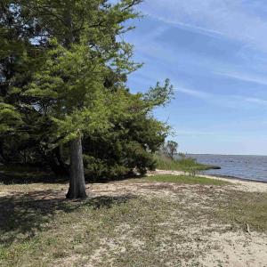 Photo #6 of Bayview Drive, Stumpy Point, NC 0.3 acres