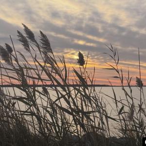 Photo #16 of Bayview Drive, Stumpy Point, NC 0.3 acres