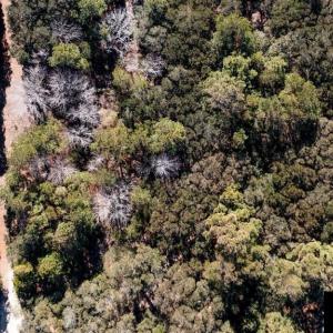 Photo #3 of 2004 Sea Horse Road, Corolla, NC 0.3 acres