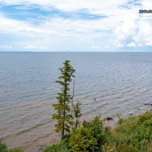 Photo #4 of 330 Country Estate Road, Columbia, NC 1.3 acres