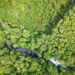 Photo #14 of Lot 7 Gregory Road, Shawboro, NC 10.0 acres