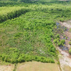 Photo #4 of Lot 7 Gregory Road, Shawboro, NC 10.0 acres