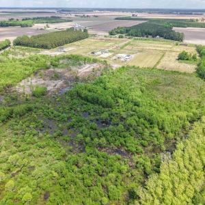 Photo #13 of Lot 7 Gregory Road, Shawboro, NC 10.0 acres