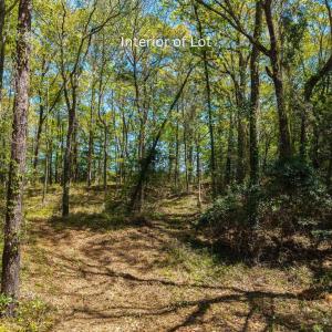 Photo #13 of 3021 Creek Road, Kitty Hawk, NC 0.6 acres