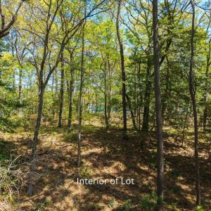 Photo #4 of 3021 Creek Road, Kitty Hawk, NC 0.6 acres
