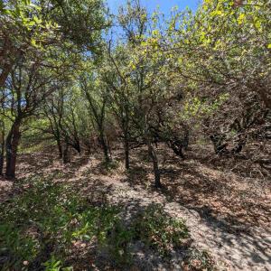 Photo #8 of 2256 Sandpiper Road, Corolla, NC 0.3 acres
