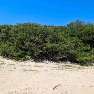 Photo #4 of 2256 Sandpiper Road, Corolla, NC 0.3 acres