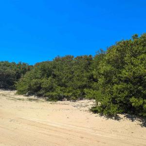 Photo #7 of 2256 Sandpiper Road, Corolla, NC 0.3 acres