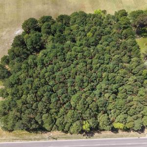 Photo #11 of Lot 1, 2 & 3 Caratoke Highway, Grandy, NC 2.9 acres