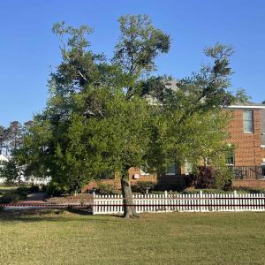 Photo #7 of 135 Fort Hugar Way, Manteo, NC 0.5 acres