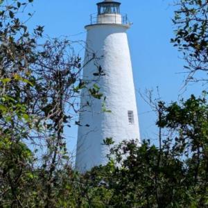 View of Lighthouse from back of lot