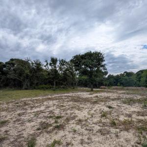 Photo #9 of 2126 Sandpiper Road, Corolla, NC 0.4 acres