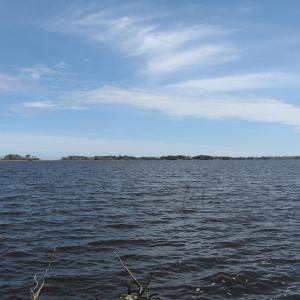 Photo #11 of 4161 Caratoke Highway, Barco, NC 92.4 acres