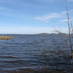 Photo #4 of 4161 Caratoke Highway, Barco, NC 92.4 acres