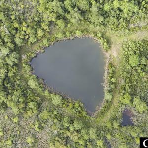 Photo #20 of 4161 Caratoke Highway, Barco, NC 92.4 acres