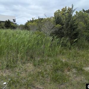 Photo #5 of TBD Lake Drive, Ocracoke, NC 0.6 acres
