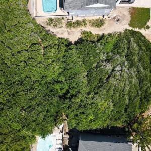 Photo #7 of 1272 Sandcastle Drive, Corolla, NC