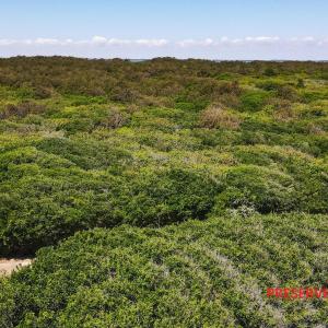 Photo #8 of 1272 Sandcastle Drive, Corolla, NC
