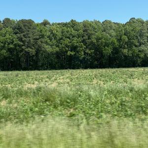 Photo #3 of TBD Highway 343, Camden, NC 10.0 acres
