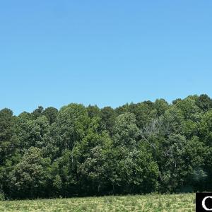 Photo #1 of TBD Highway 343, Camden, NC 10.0 acres