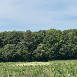 Photo #2 of TBD Highway 343, Camden, NC 10.0 acres