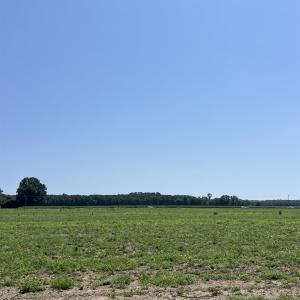 Photo #7 of TBD Highway 343, Camden, NC 10.0 acres