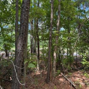 Photo #25 of 107 Dexter Court, Powells Point, NC 0.5 acres