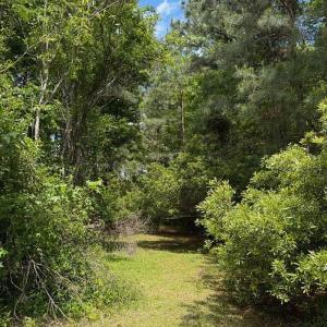 Photo #24 of 107 Dexter Court, Powells Point, NC 0.5 acres