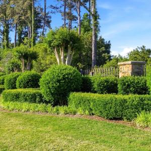 Photo #2 of 107 Dexter Court, Powells Point, NC 0.5 acres