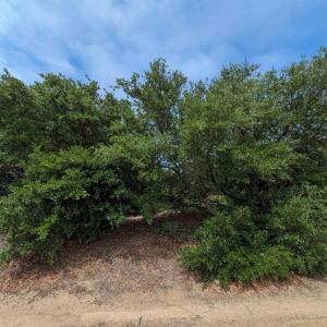 Photo #5 of 2241 Tarpon Road, Corolla, NC 0.4 acres