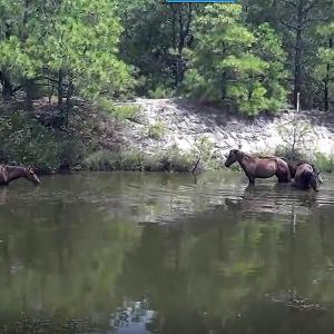 Photo #14 of 2241 Tarpon Road, Corolla, NC 0.4 acres