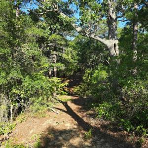 Photo #5 of 101 Tower Lane, Kill Devil Hills, NC 0.7 acres