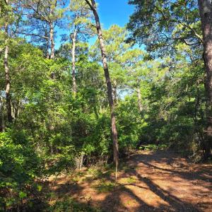 Photo #7 of 101 Tower Lane, Kill Devil Hills, NC 0.7 acres