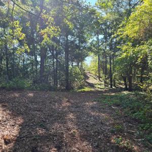 Photo #9 of 101 Tower Lane, Kill Devil Hills, NC 0.7 acres
