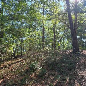 Photo #8 of 101 Tower Lane, Kill Devil Hills, NC 0.7 acres
