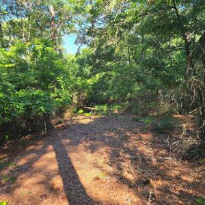 Photo #11 of 101 Tower Lane, Kill Devil Hills, NC 0.7 acres