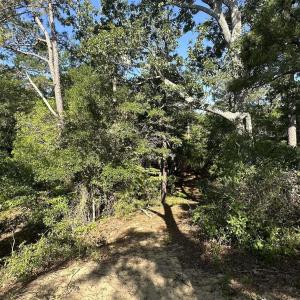 Photo #12 of 101 Tower Lane, Kill Devil Hills, NC 0.7 acres