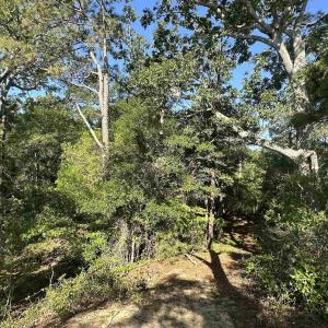 Photo #13 of 101 Tower Lane, Kill Devil Hills, NC 0.7 acres