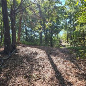 PATH