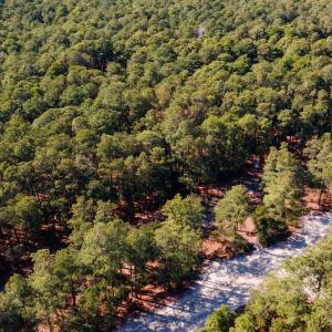 Photo #11 of 2322 Ocean Pearl Road, Corolla, NC 0.6 acres
